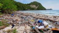 Fue declarada Patrimonio de la Humanidad y ahora es una escombrera: la isla que acumula toneladas de basura