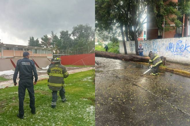 #Video: Retiran árbol caído y atienden barda derrumbada tras lluvias en #Toluca
