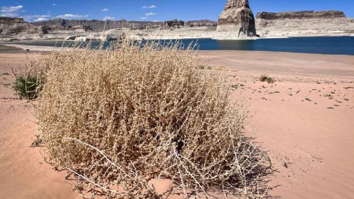 Utah has water problems now. What if the megadrought lasts another 25 years?