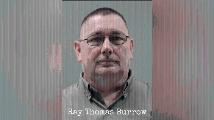 Limestone County man pleads guilty to sodomy charge, sentenced to 20 years