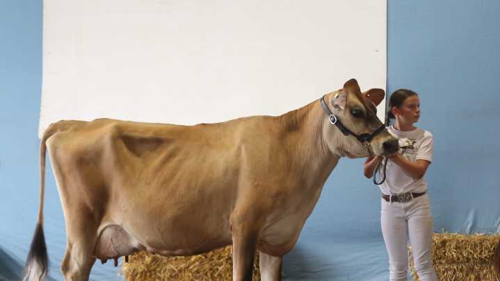 Meet the 4-H kids and their critters at NJ State Fair in Sussex County