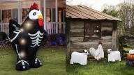 Tractor Supply Co. Is Selling a Halloween Rooster Skeleton That's Going Viral
