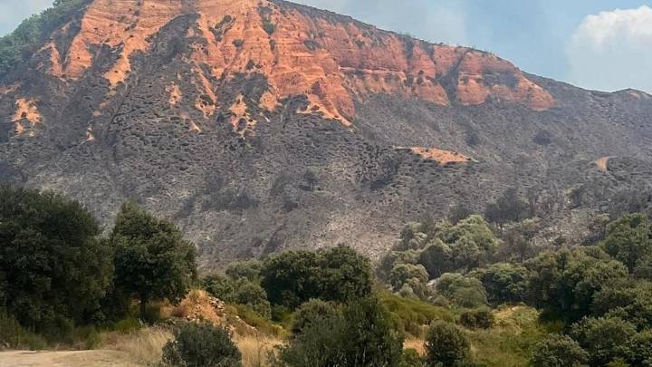 El alcalde de Carucedo tras el incendio de Las Médulas: "Los castaños centenarios ya no se recuperan, la imagen es negra"