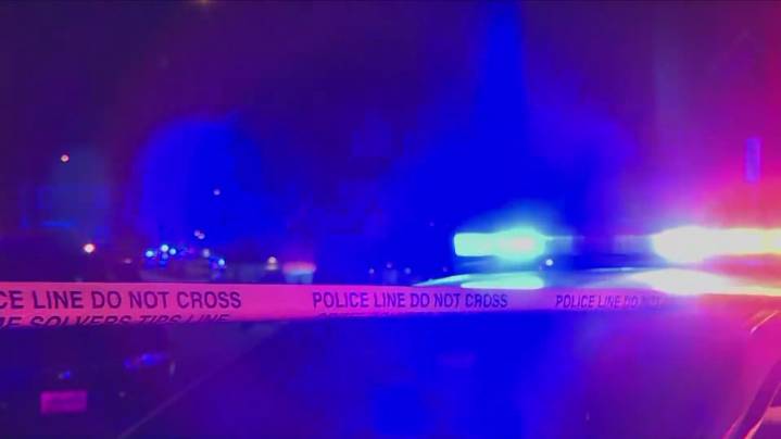 2 dogs dead after being found in a hot car; Loudoun County man charged