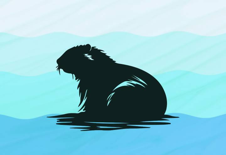Beavers: Nuisance or a necessity? Wildlife officials wade into the debate.
