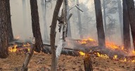 State fire crews tackling small blaze near Rogers Lake
