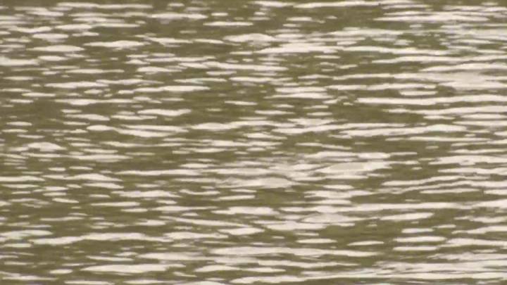 Westford, MA man Jack Bilodeau dies in NH lake swimming incident