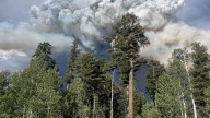 NAU professor studies Dragon Bravo Fire impact on water