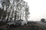 Aragón envía brigadas y medios aéreos para sofocar un incendio en León