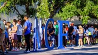 New College of Florida attracts top educators David Rohrbacher Guest columnist