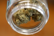 Weed Recall Issued for Thousands of Products Over Health Risk