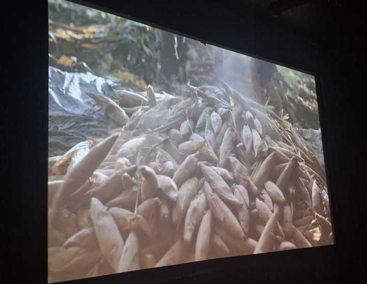 Demuestran que se puede hacer cine de Yucatán