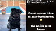 Tras burla de los Aguilar, Emiliano contraataca: "Qué bonita familia de perros"