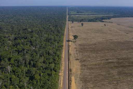 ¿Qué significa la lucha por la moratoria de la soya en Brasil y qué pasará después?
