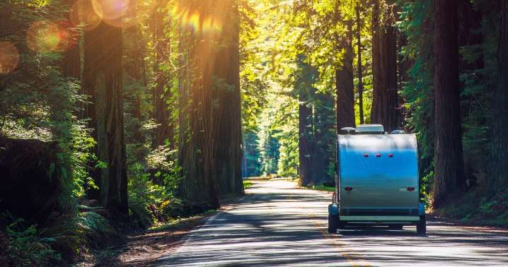 California National Park Calls On The Public To Find Mystery Visitor Who Broke Major Rule