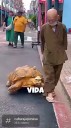 (VIDEO) 10 records mundiales que Japón  todavía mantiene hoy