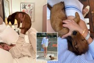 Long Island man in legal dog fight with ex over miniature Dachshund