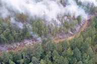 2 railway trestle bridges destroyed in Vancouver Island wildfire