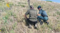 Detenidos tres cazadores furtivos, uno de Albacete, en la Sierra de Albarracín, Teruel