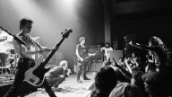 «Anarchy in the U. K.»: pisotead las flores