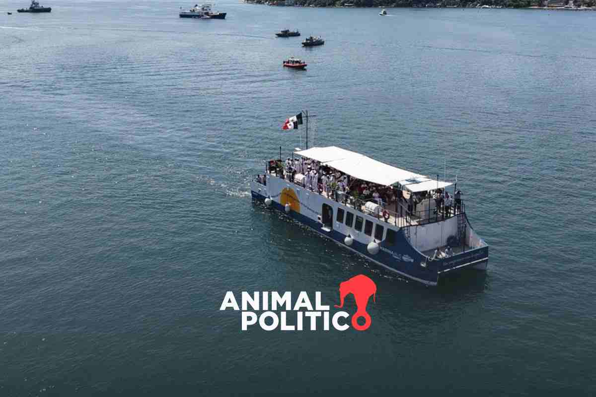 Marinabús: así operará el nuevo sistema de transporte en Acapulco a cargo de la Marina