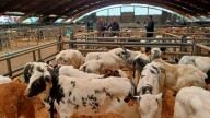 La actividad del Mercado de Siero baja este año el 9% por el declive del campo