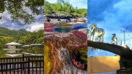 Tres sitios turísticos en los Llanos Orientales que enamoran con sus paisajes, atardeceres y espectáculos naturales