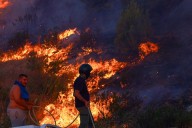 Boy, 4, dies of heatstroke after wildfires engulf Europe
