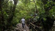 Secretaría de Turismo pide ampliación presupuestal para 2026