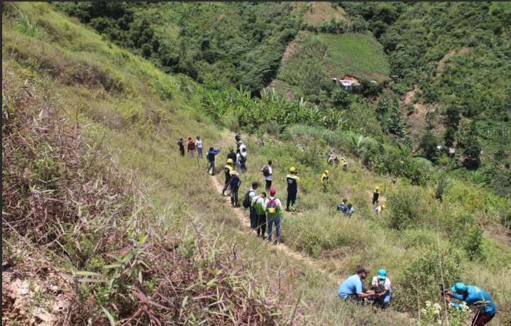 Intervienen más de 200 hectáreas degradadas en Venezuela plantando 74 mil árboles 