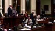 Texas Senate approves new congressional map amid Democratic opposition