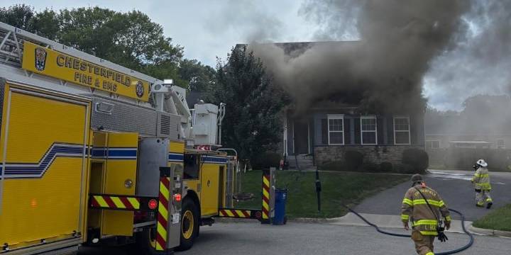 Three dogs killed in Chesterfield house fire