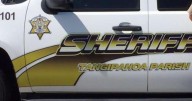 Pontchatoula man, 73, booked on 60 counts of child porn, says Tangipahoa sheriff