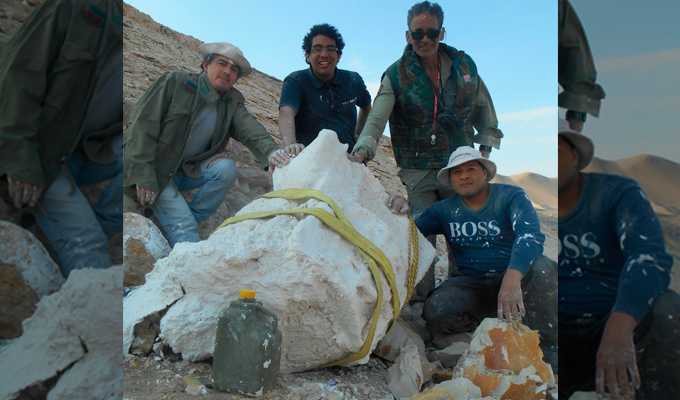 Impresionante hallazgo en Ica: descubren fósil de ave marina de más de ¡20 millones de años!