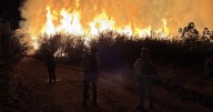 Front Range firefighters helping with Western Slope wildfires