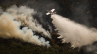 Los incendios forestales en España evolucionan favorablemente