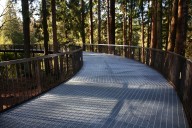 Northwest homes and gardens events: Street of Dreams, workshops, tours and more