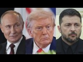 8/19: The Daily Report