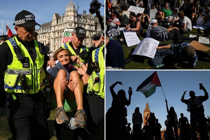 UK police arrest over 400 at protest for banned Palestine support group