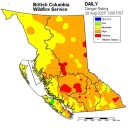 Wildfire risk expected to rise over B.C.'s long weekend as hot, dry weather continues