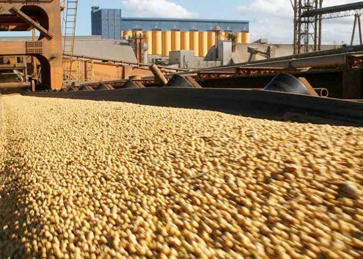 El campo insiste en el pedido de eliminación total de las retenciones