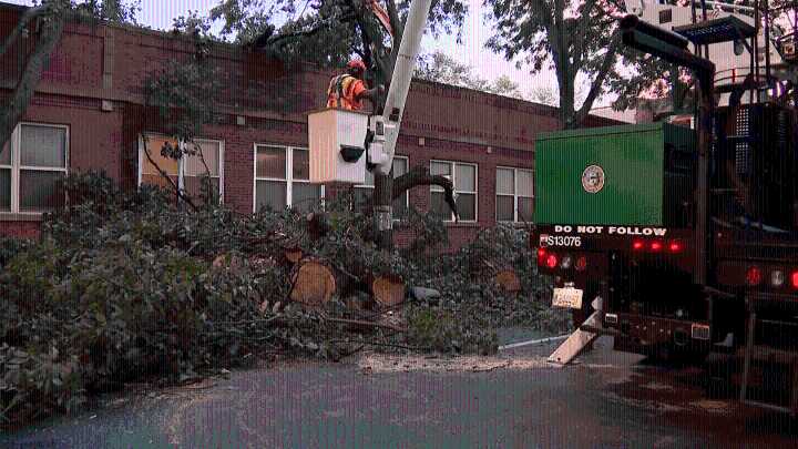 Strong storms in Chicago area knock down trees, cause flooding
