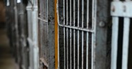 Prisión preventiva para imputado por sacar a niña del país: es extranjero y huyó desde Quillón