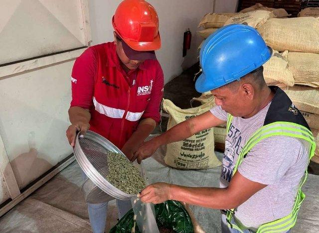 Mérida exporta más de 40 toneladas de café a Serbia y Bielorrusia