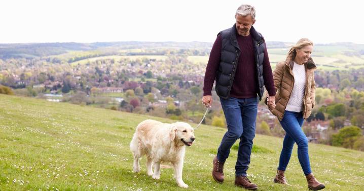Dog owners are 'making one mistake' that could stop pet listening to you
