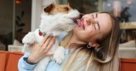 Warning to UK dog owners over mistake that could empty their bank account