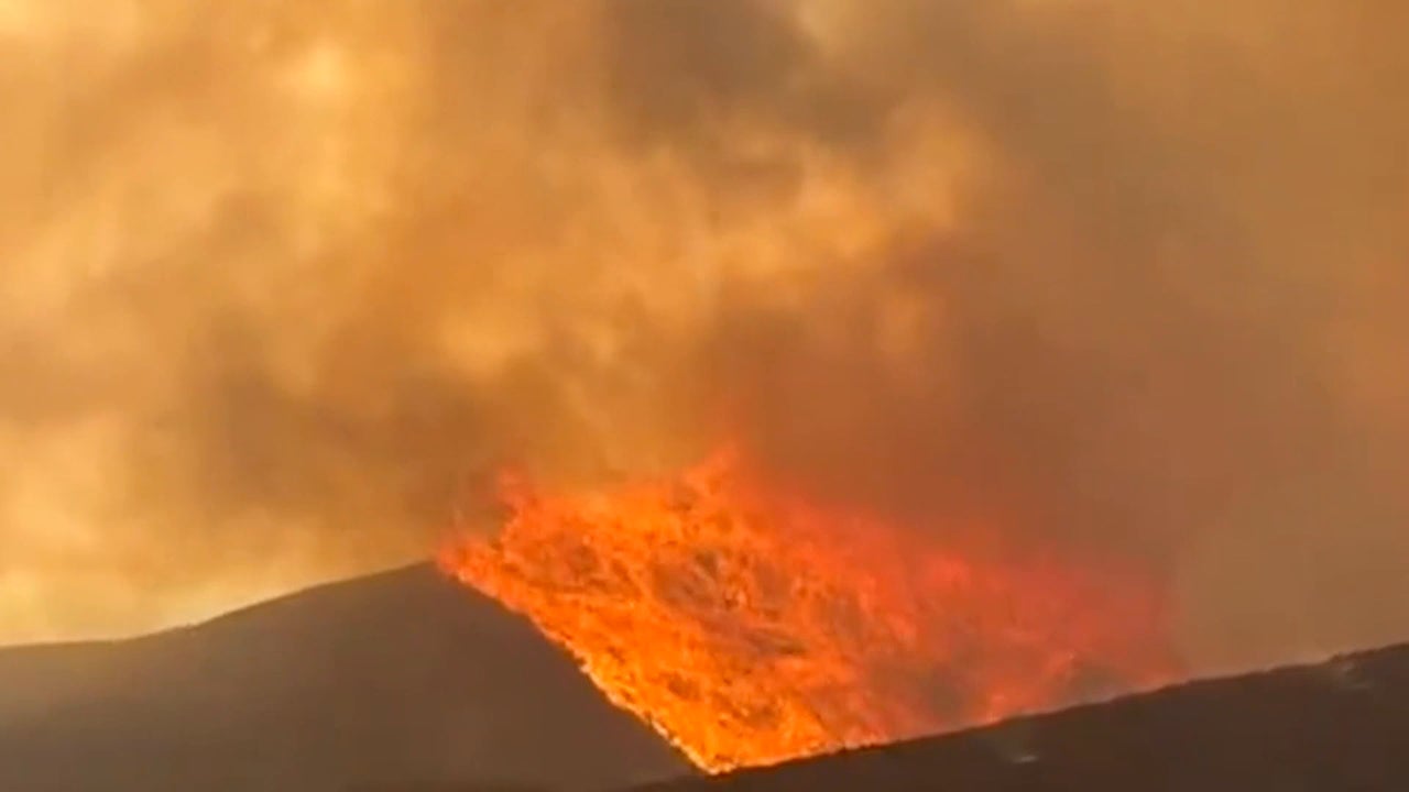 ¿Está permitido limpiar los montes para evitar nuevos incendios? Los expertos responden