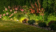 The Low-Effort Dollar Tree DIY That Lights Up Your Yard On A Budget