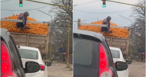 Captaron al "hombre araña" que se trapa a los camiones a robar naranjas