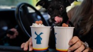 Dutch Bros could soon open in a Chicago suburb